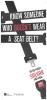 Seatbelt Spanish